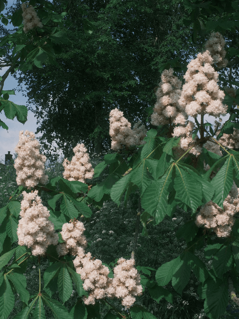 馬場輝信による写真 12