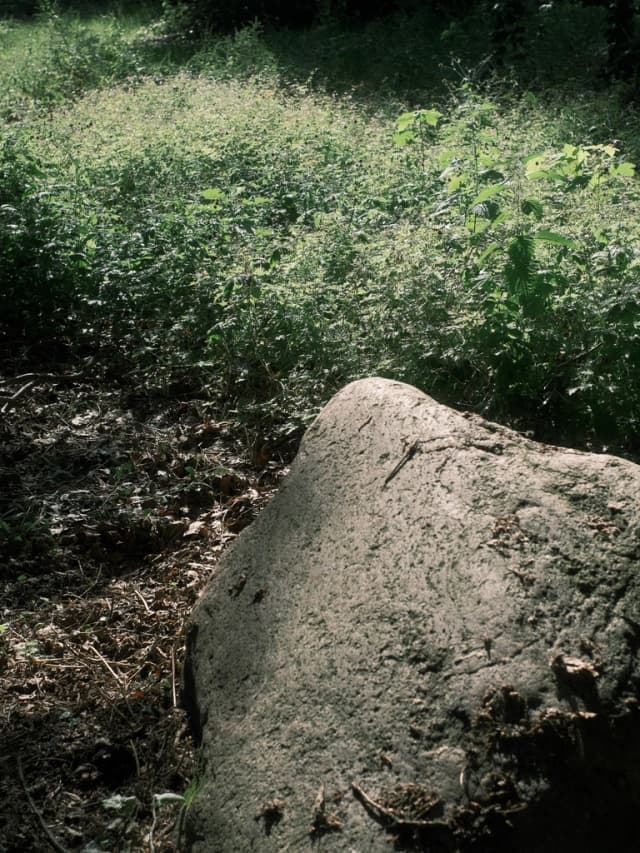 馬場輝信による写真 22